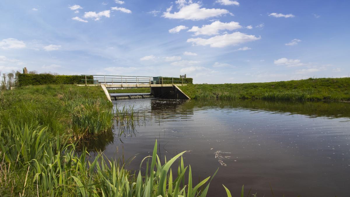 Wapserveensche Aa, Wapserveen