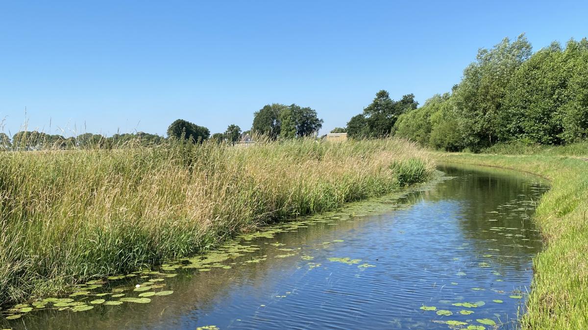 Lierder- en Molenbroekerpolder, Wijhe