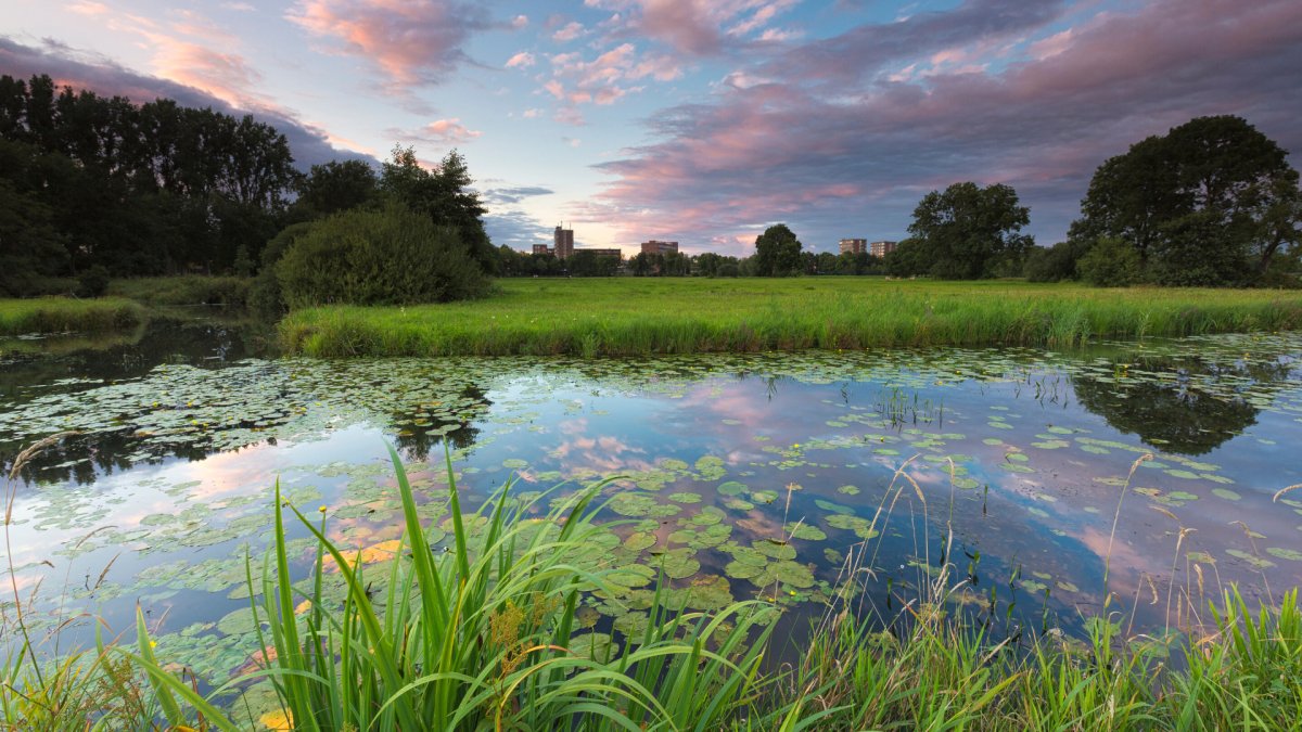 Grenzen aan water uit IJsselmeer en Markermeer bij langdurige droogte