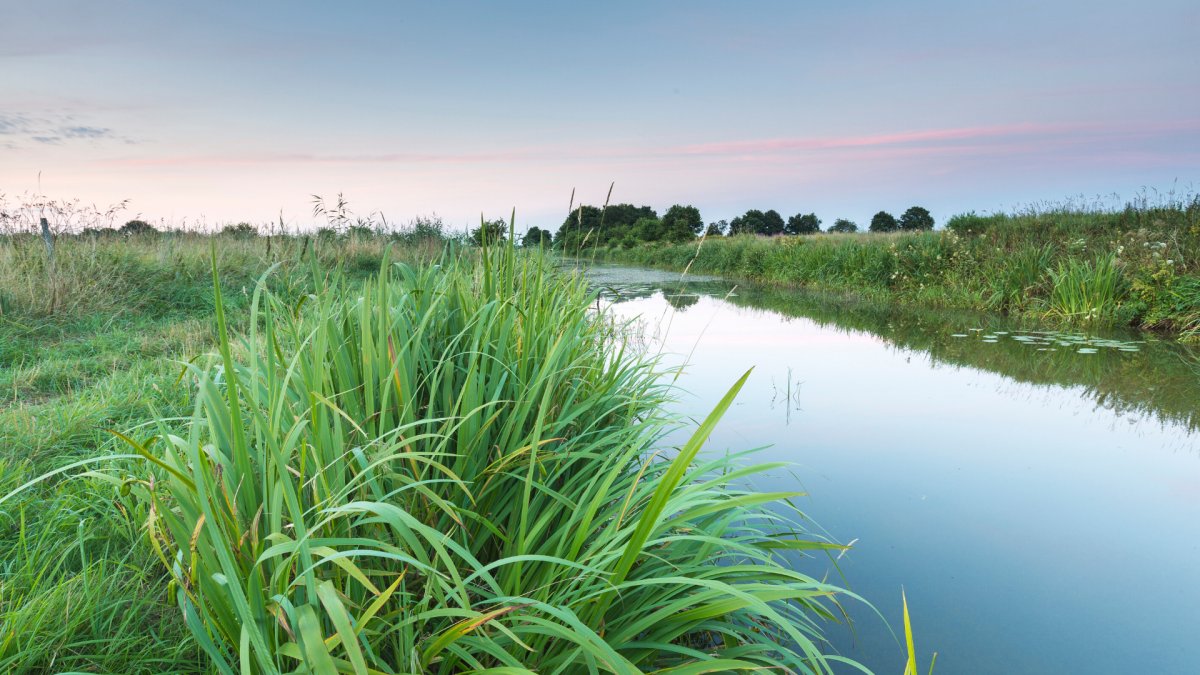 Buitenpolder achter Kuinre, gemeente Steenwijkerland