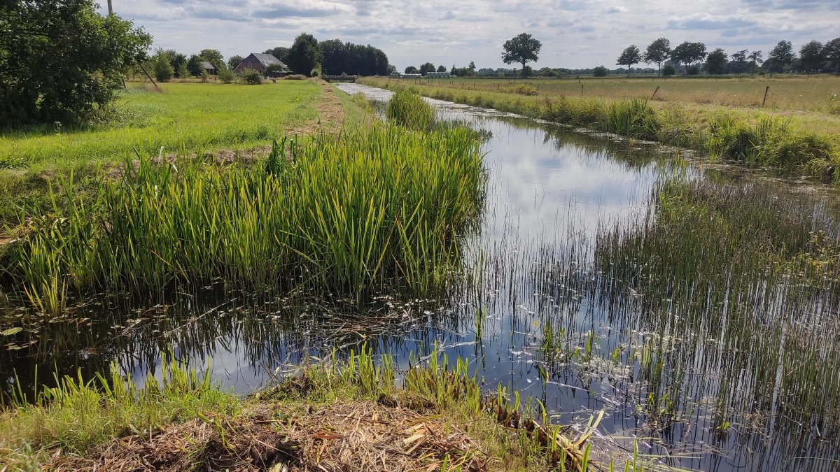 A28-waterbergingen maken gebied tussen Hoogeveen en Pesse toekomstproof