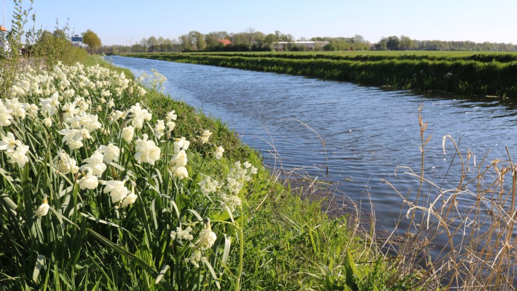 Nieuwe wetering