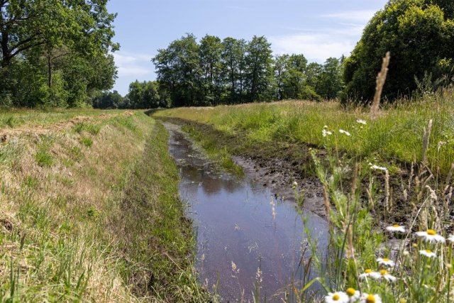Een beek in de Eekmaten