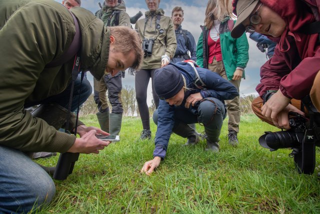 Foto van studenten die natuur bestuderen in de uiterwaarden van de Vecht