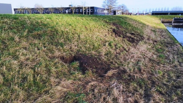 Graafschade aan dijk door honden