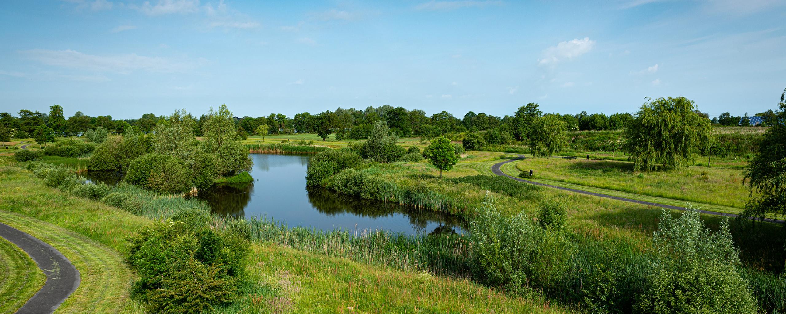 Leeksterveld in het groen