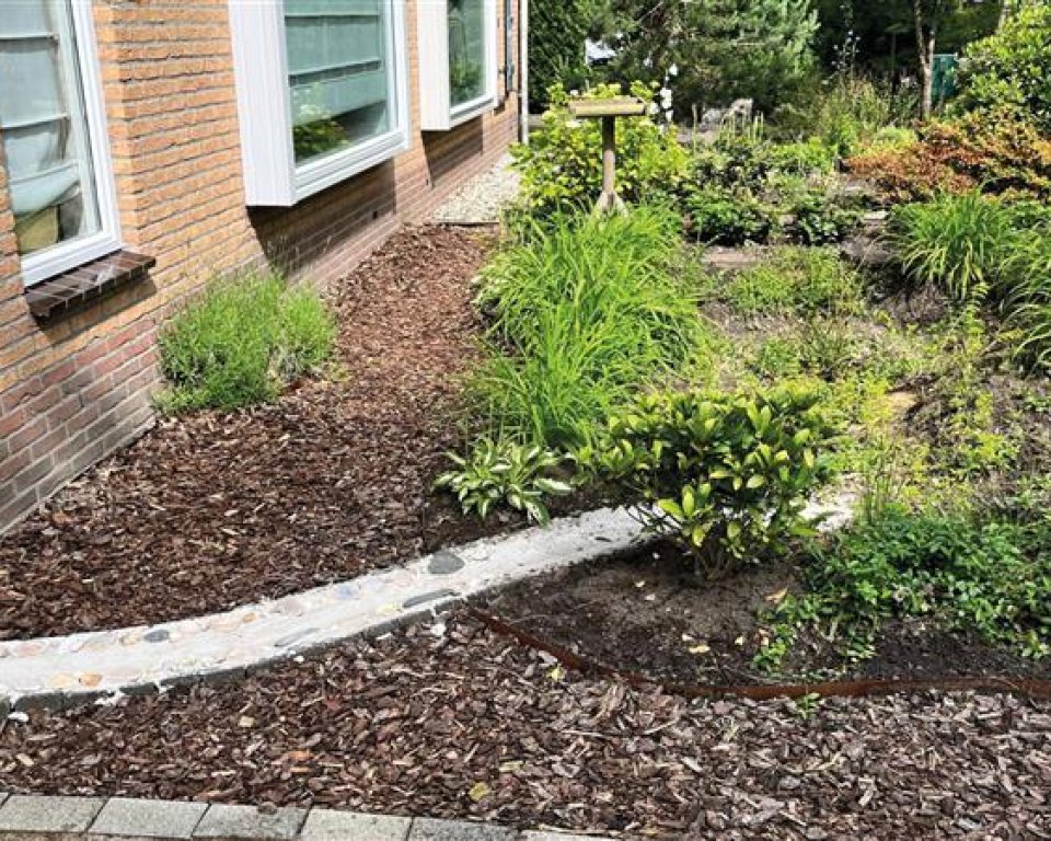 Tuin met veel planten en afgekoppelde regenpijp. 