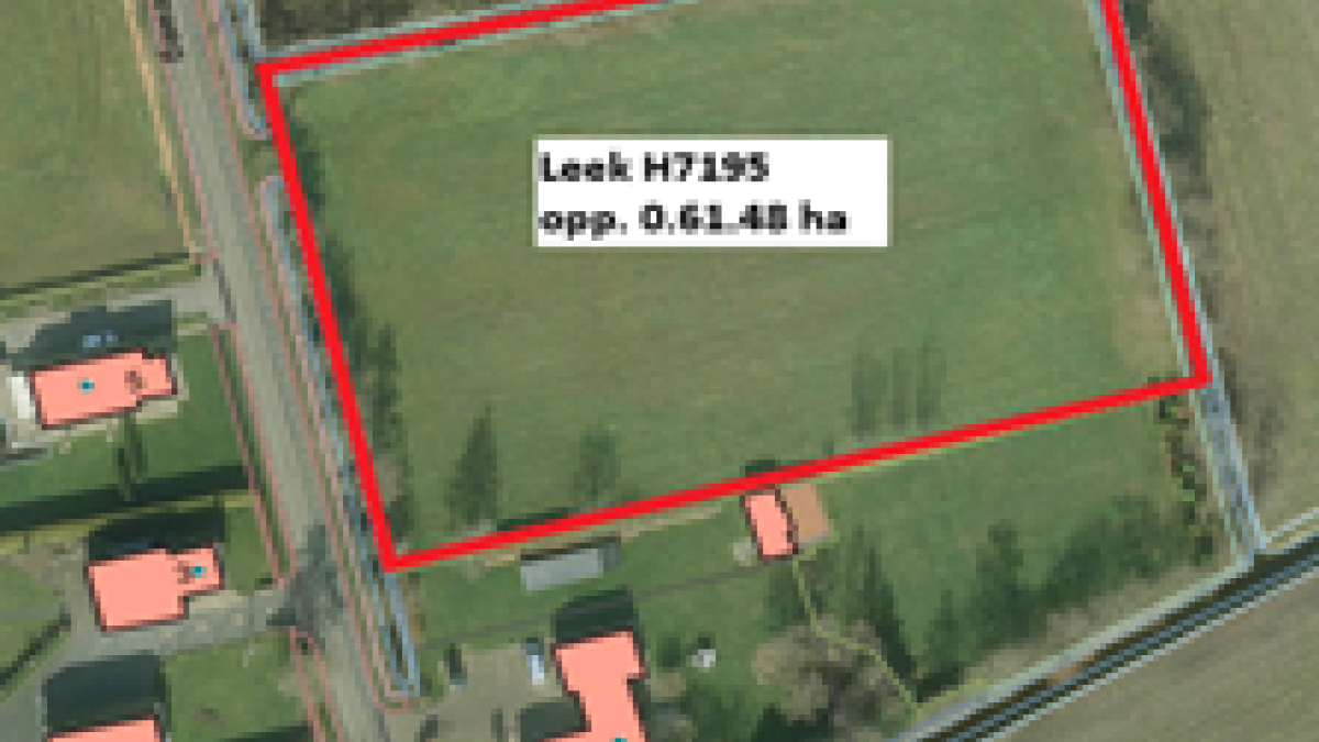 Heeft u interesse in het pachten van grasland in Zevenhuizen?