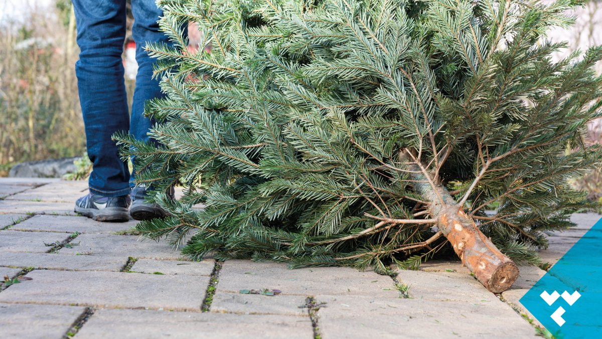 Afvalinzameling hervat + inhaal- en kerstboominzameldagen