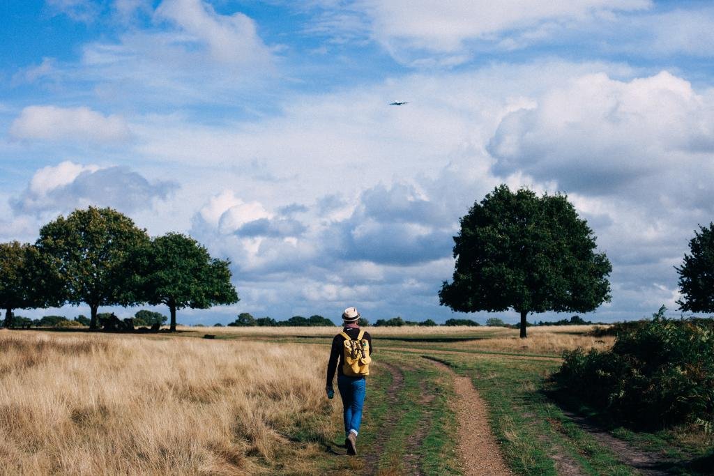 Wandelen