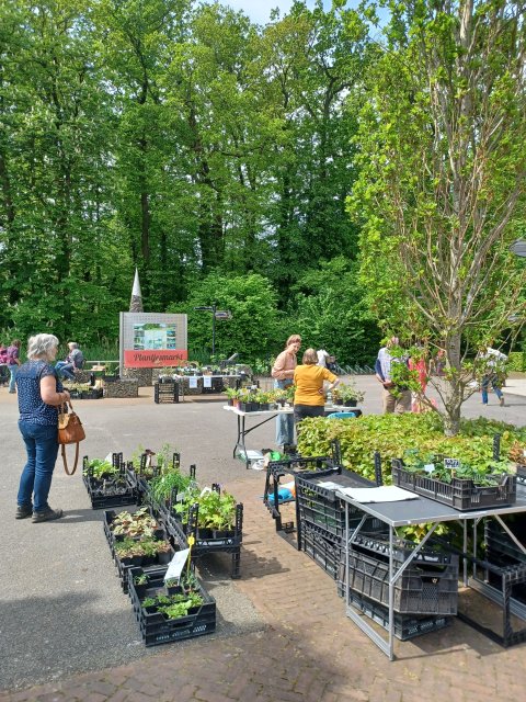 Kramen met plantjes