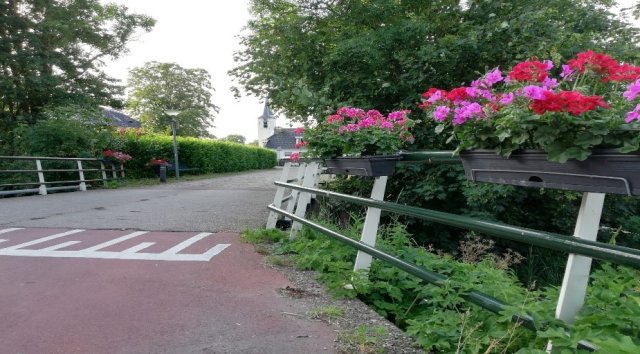 geraniums in hangbakken aan de brug