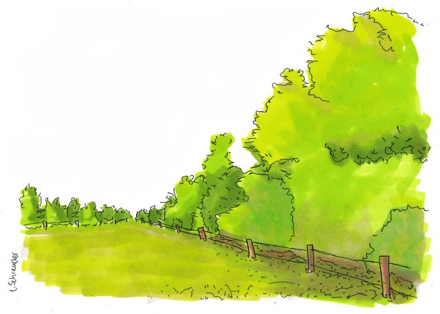 Illustratie van een elzensingel met hekwerk