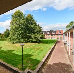 Voorbeeld groenstructuur Het park