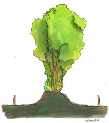 Illustratie van een houtwal zonder greppels met raster