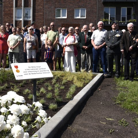 Onthulling Witte Anjerperkje