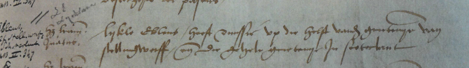 De oudste vermelding van een oostelijk en een westelijk deel van Stellingwerf, 1517 (Tresoar)