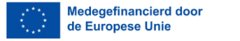 Logo ESF met tekst: Medegefinancierd door de Europese Unie