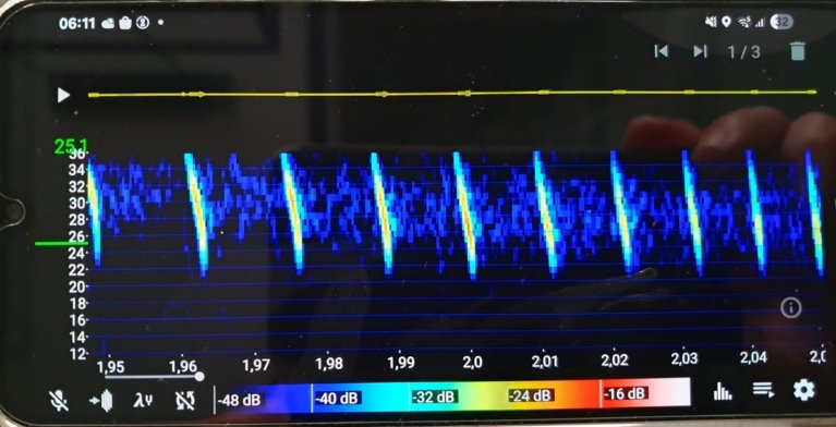 De sonar van een vleermuis op onze batdetector (Myotis spp.)