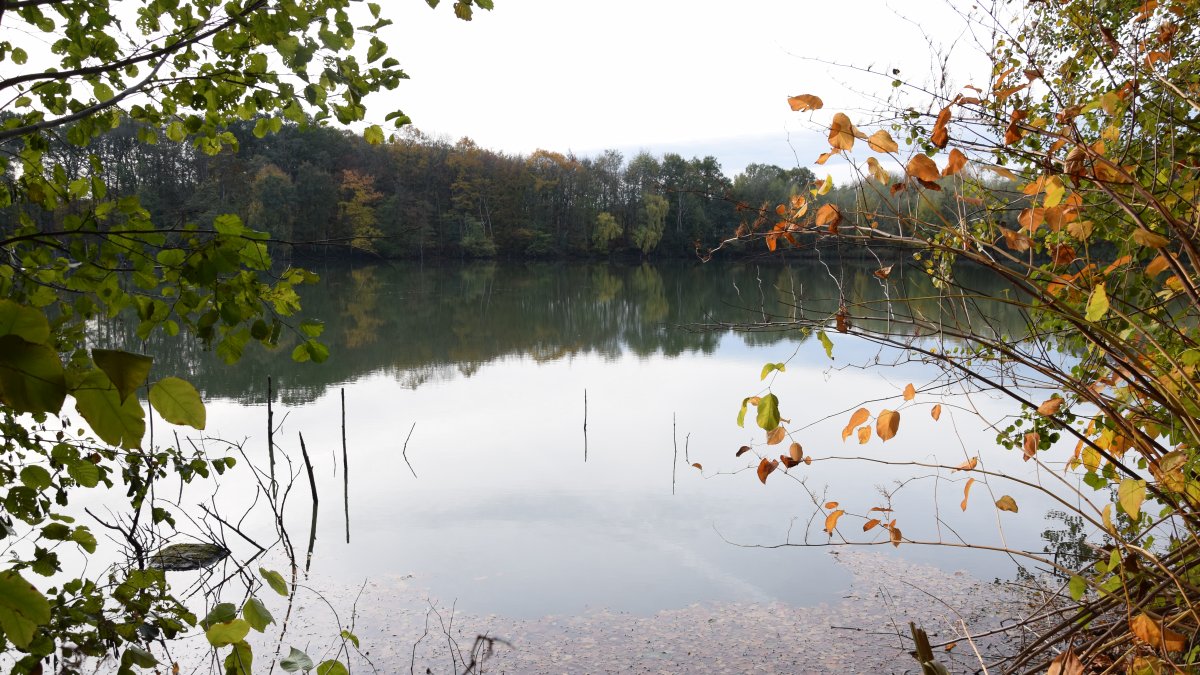 College doet voorstel afronding kleiput aan gemeenteraad