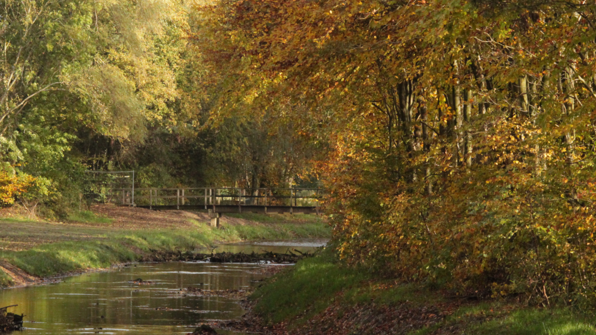 Gemeentenieuws 2 december 2025