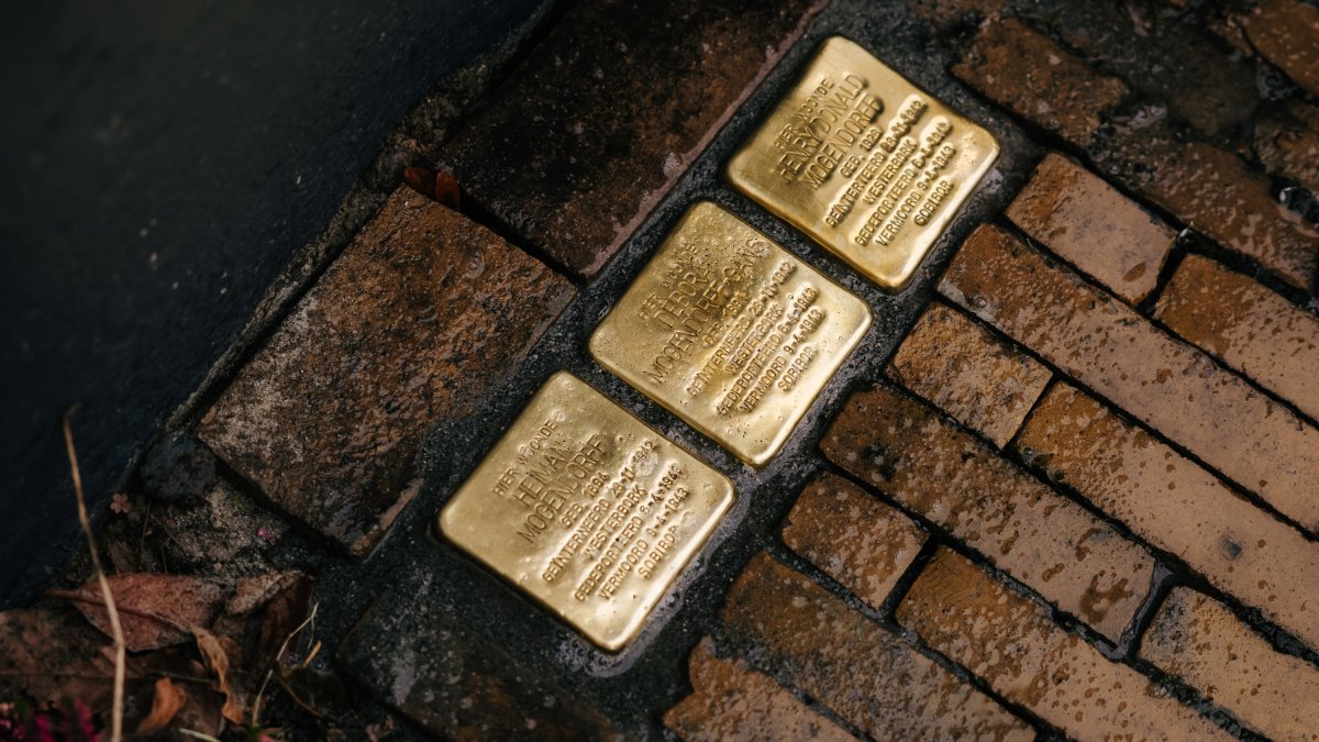 Gemeentenieuws 25 november