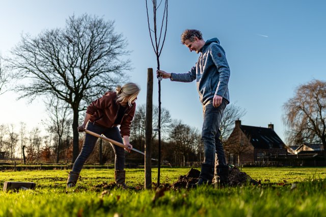 2 mensen planten een boom