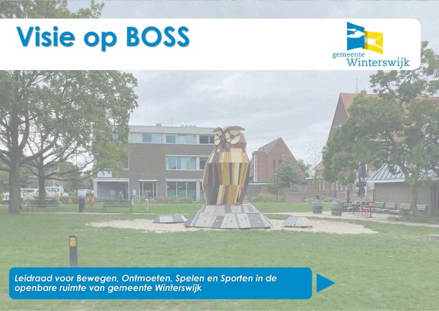 speeltuin met speeltoestel en de tekst: Visie op BOSS, leidraad voor Bewegen, Ontmoeten, Spelen en Sporten in de openbare ruimte van gemeente Winterswijk.