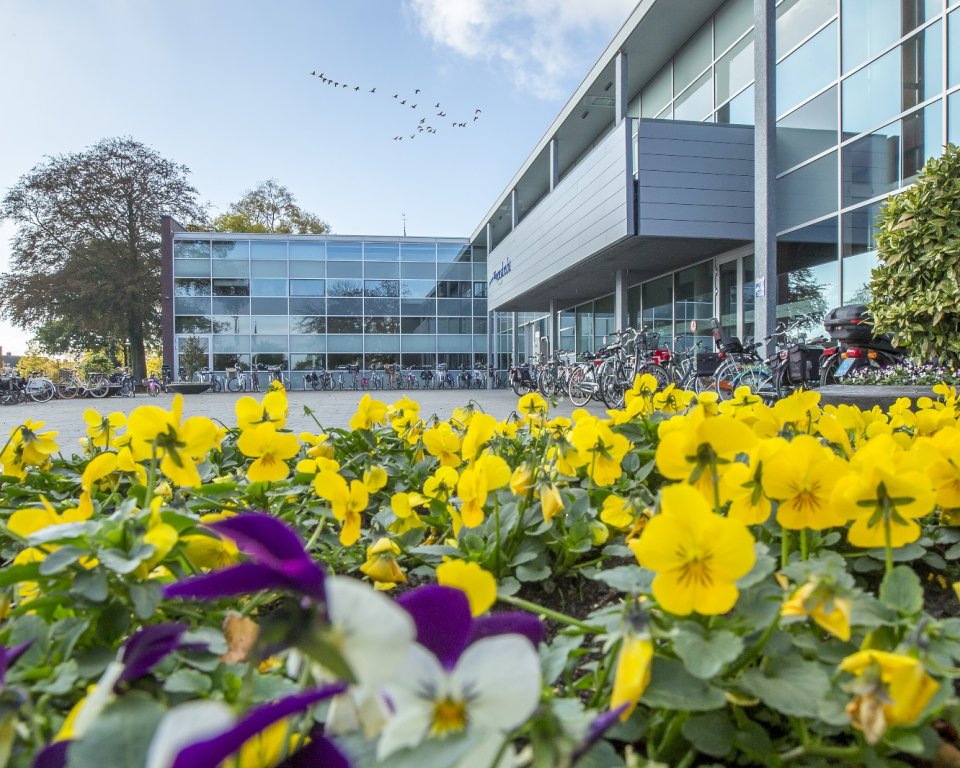 Gemeentehuis met bloembakken op de voorgrond