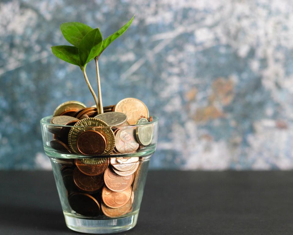 Glas met geld met een plantje