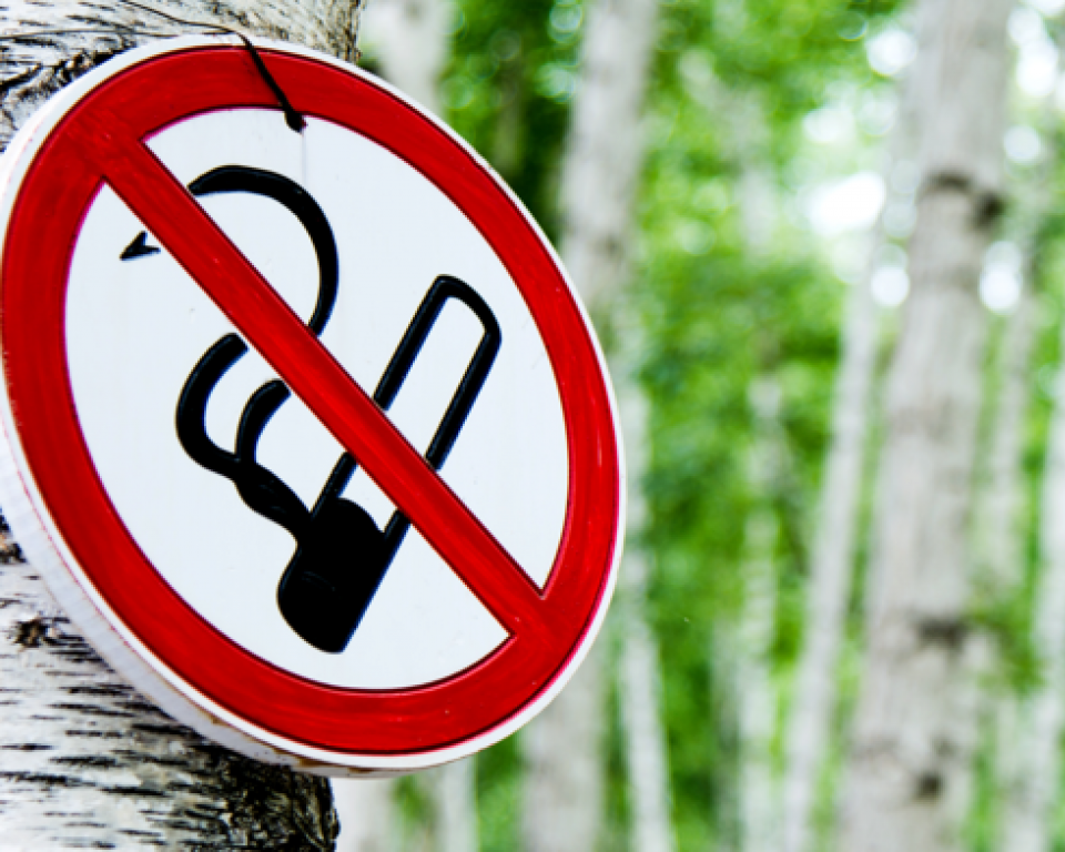 Bordje rookverbod op boom
