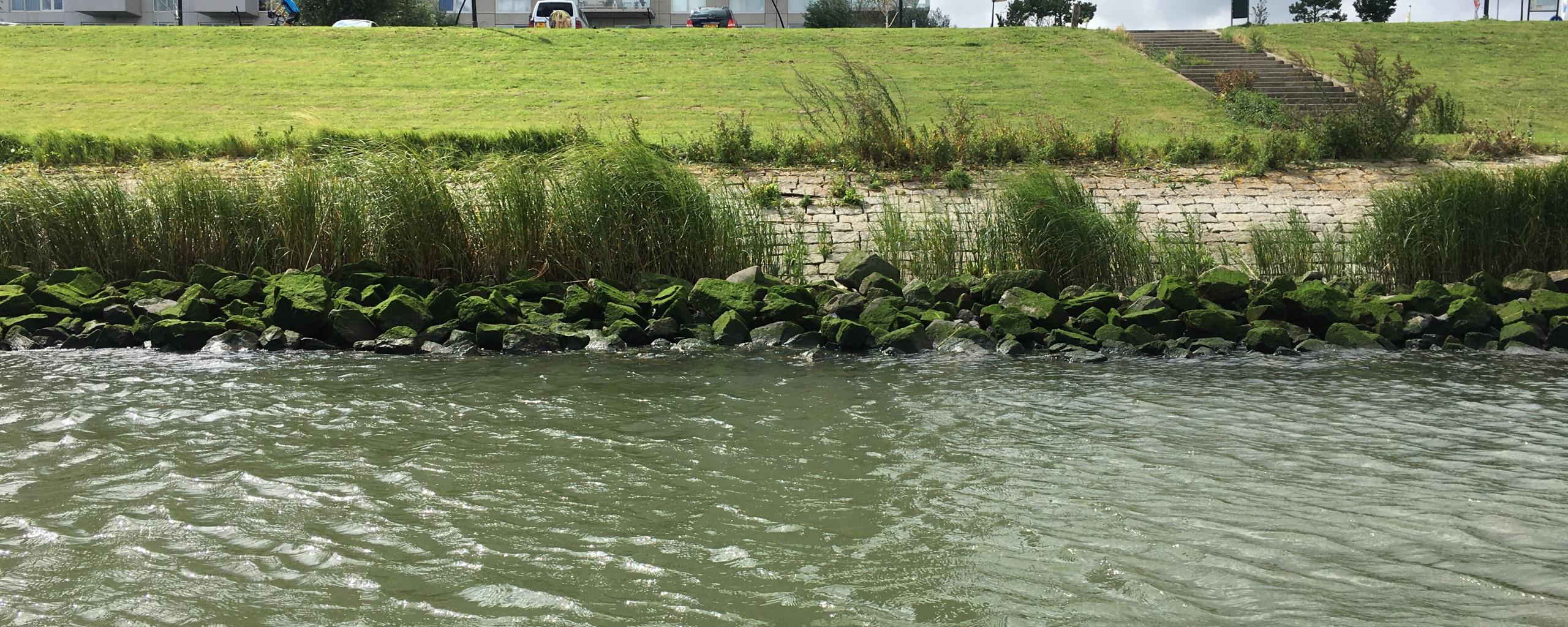 Waterweg met uitzicht op flats