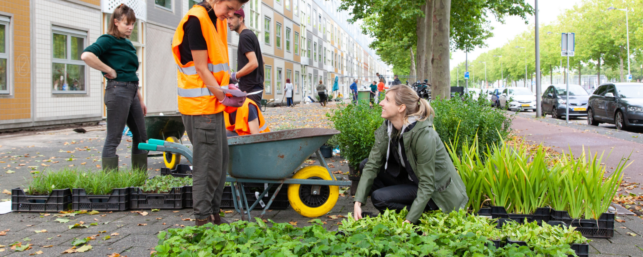 Met de buurt aan de slag voor groen