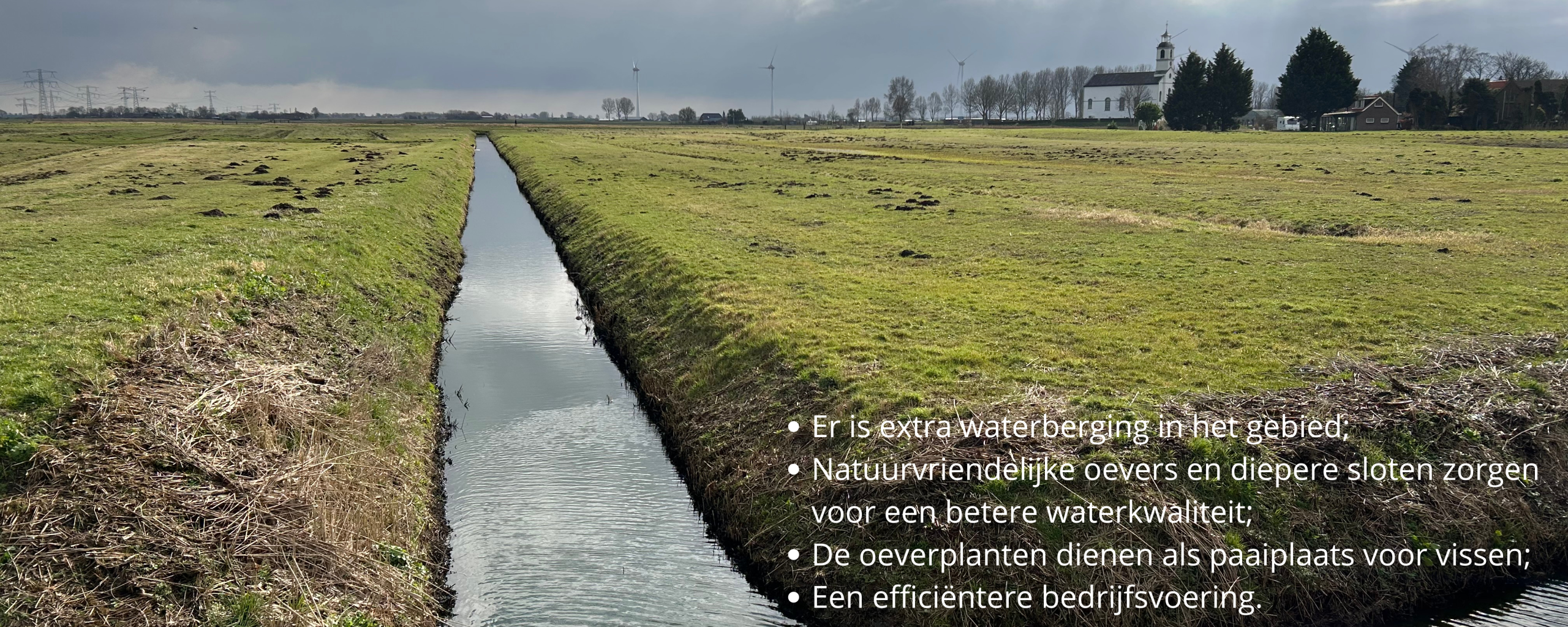 Polder in Putten