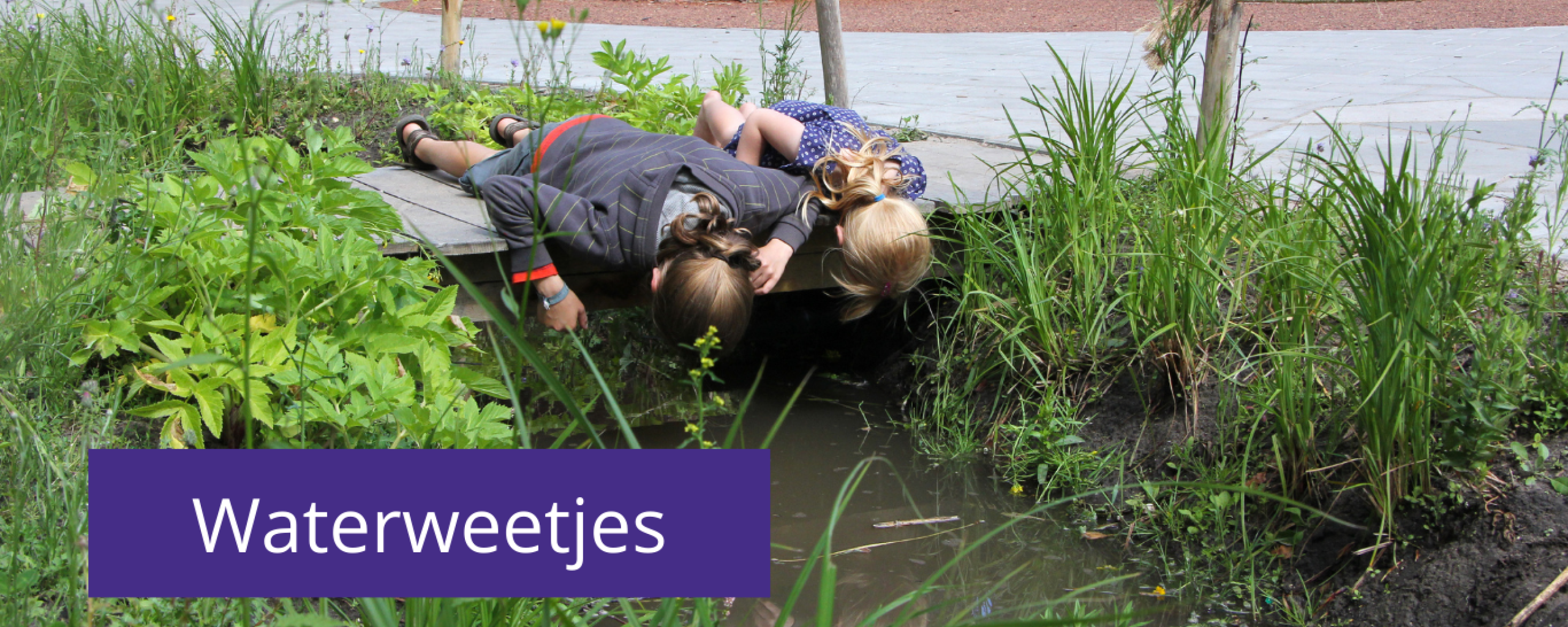 Kinderen kijken naar het water