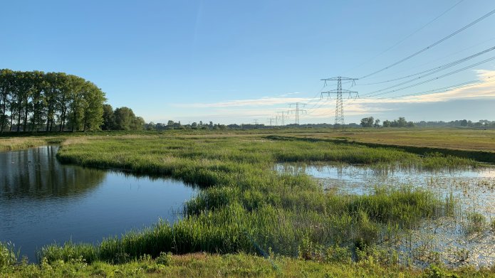 water en groen Nieuwe Dordtse Biesbosch