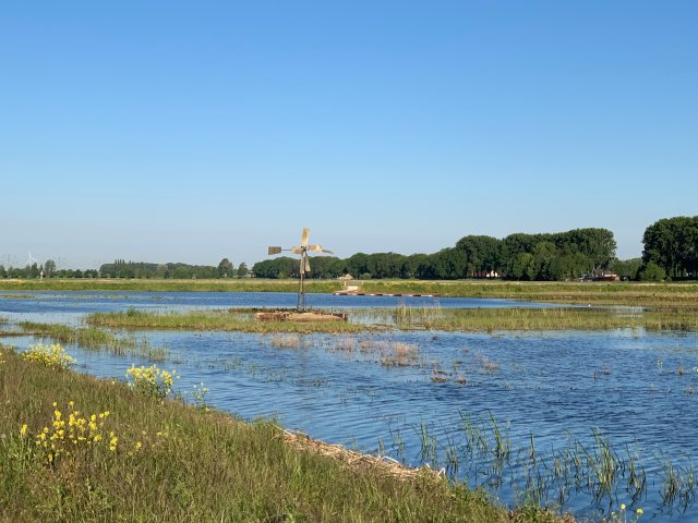 Overzichtsfoto natuurgebied NIeuwe Dordtse Biesbosch in Dordrecht