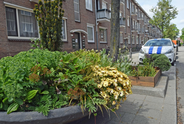 Rotterdam_Kaverstraaat_Charlois
