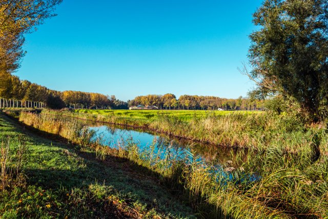 Natuurvriendelijke oevers met weiland en bomenrijd