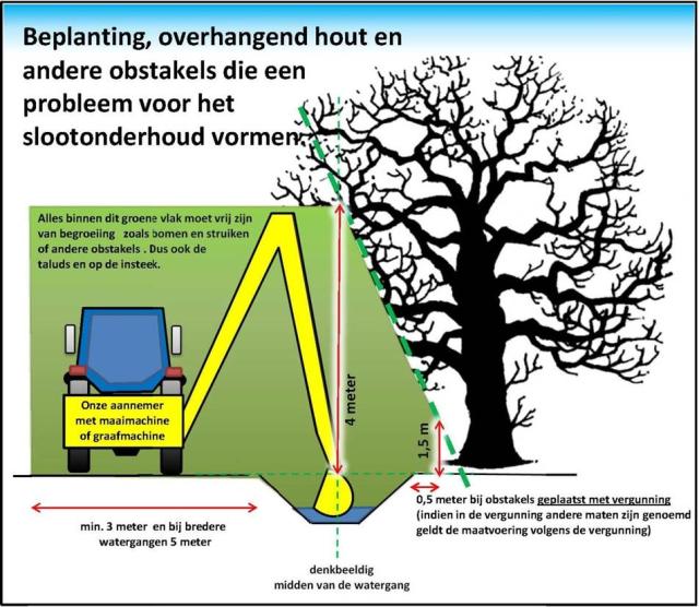 Schema overhangend hout langs een sloot of singel