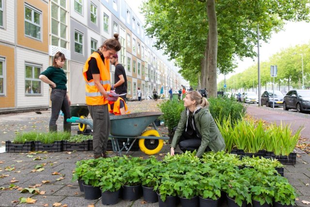 Vergroenen door middel van planten