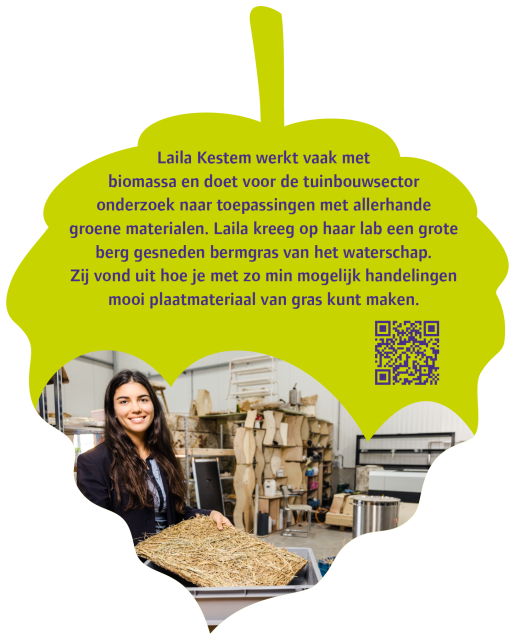 Laila Kestem werkt vaak met biomassa en onderzoekt voor de tuinbouwsector naar toepassingen met groene materialen. Laila kreeg op haar lab een grote berg gesneden bermgras van het waterschap. Zij vond uit hoe je met zo min mogelijk handelingen mooi plaatmateriaal van gras kunt maken.