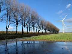 Windmolens langs de dijk