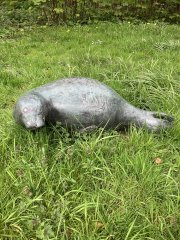 Artwork Great Baikal Seal by Theresa van der Pant