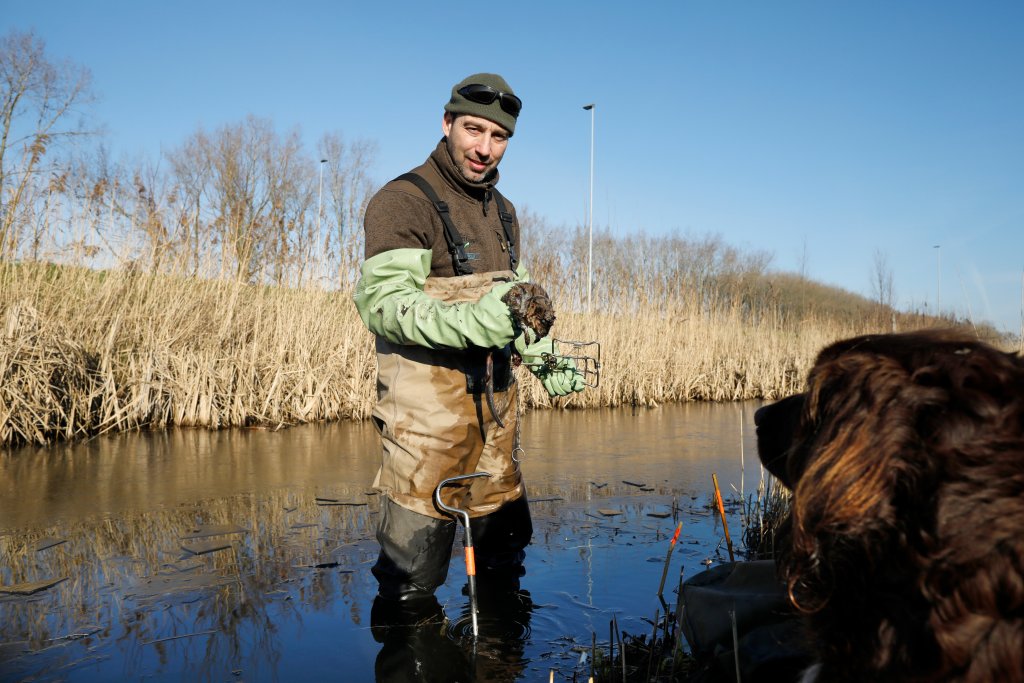 Tjitse met zijn hond in het water met gevangen muskusrat