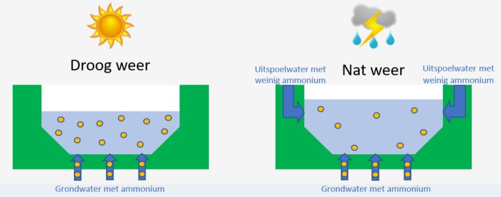 Infographic over uitspoeling ammonium