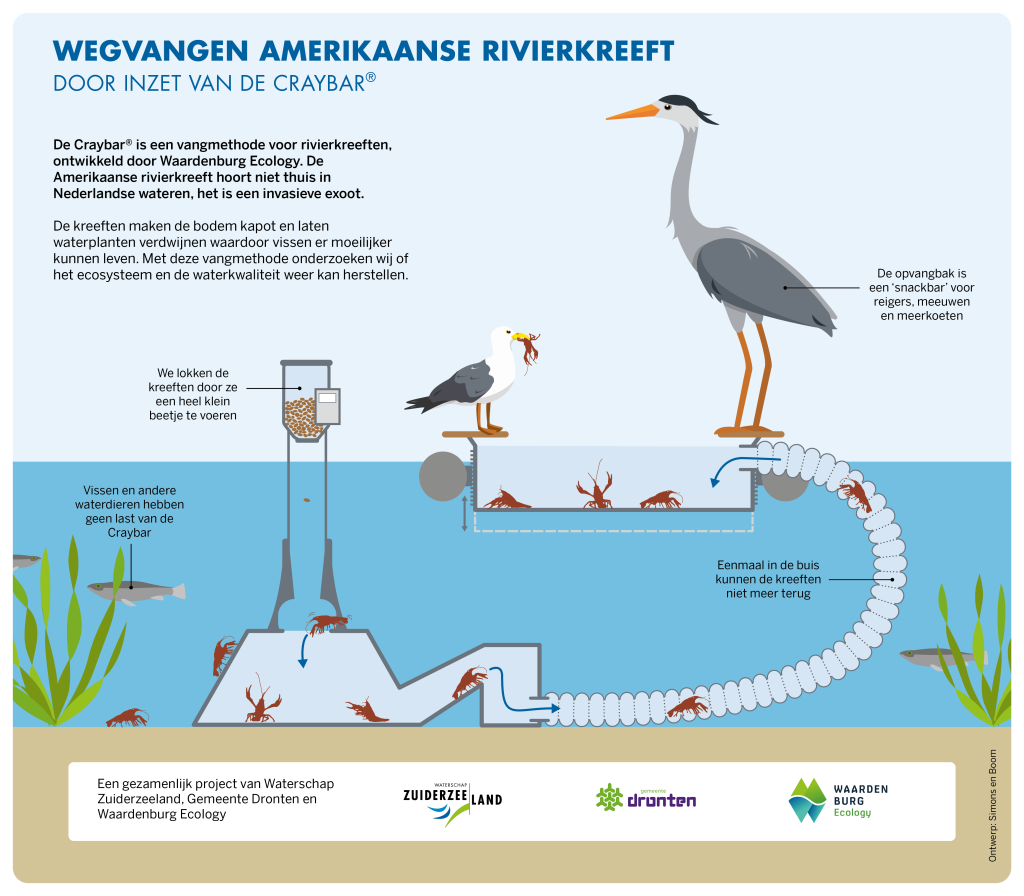 Met de craybar-vangmethode worden rivierkreeften gevangen. De kreeften worden gelokt met een beetje voer, komen in een bak met een buis die ze naar een opvangbak laat glijden. 