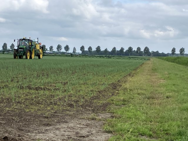 Langs de brede grasstrook tussen het uienperceel en de tocht is het gebruik van de kantdop (gewasrand) verplicht.