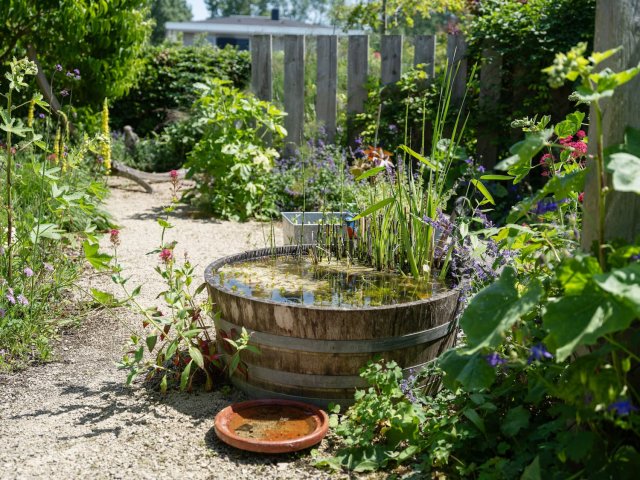 Tuin met ton en planten