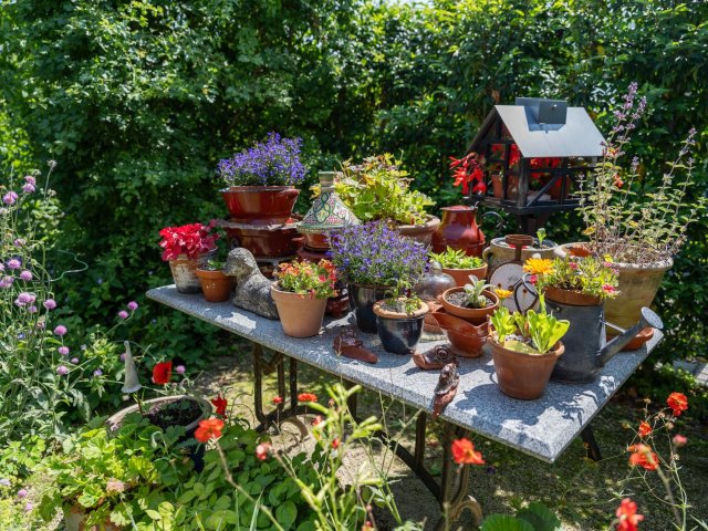 Tafel met diverse planten in een tuin